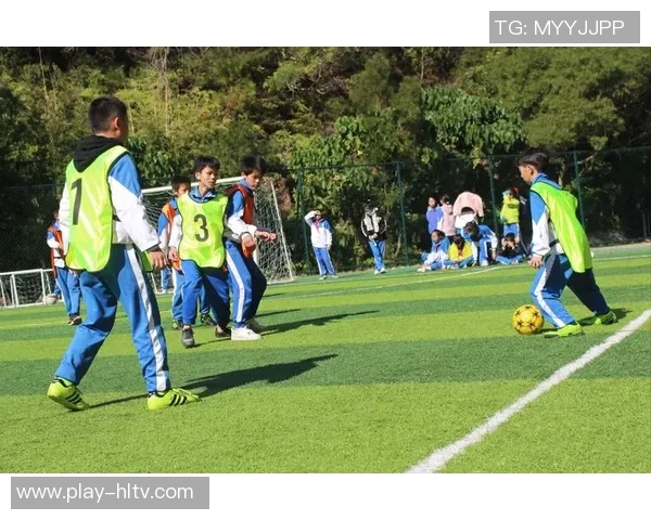 探索cro足球游戏的魅力与乐趣，带你体验虚拟足球的激情与挑战